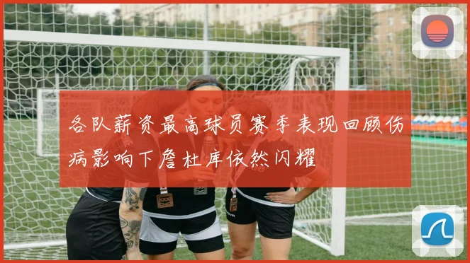 各队薪资最高球员赛季表现回顾伤病影响下詹杜库依然闪耀