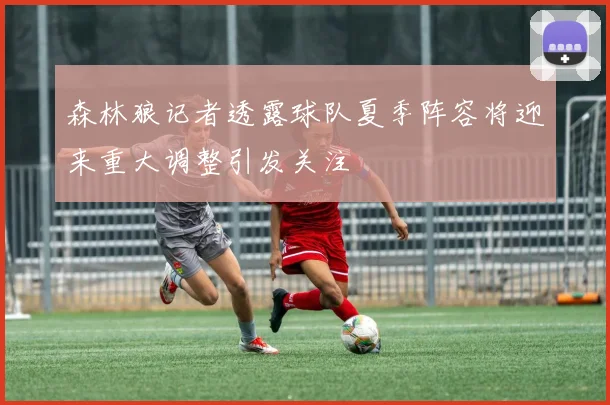 森林狼记者透露球队夏季阵容将迎来重大调整引发关注