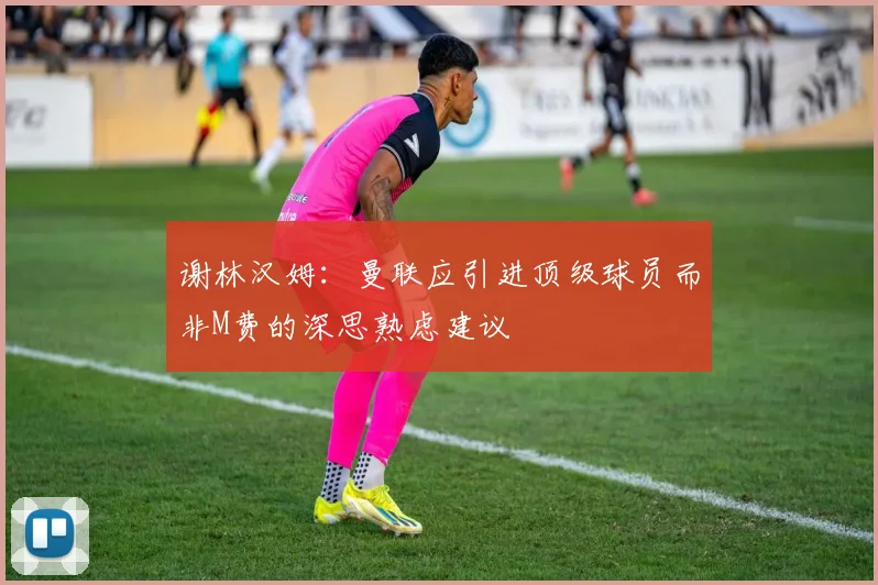 谢林汉姆：曼联应引进顶级球员而非M费的深思熟虑建议